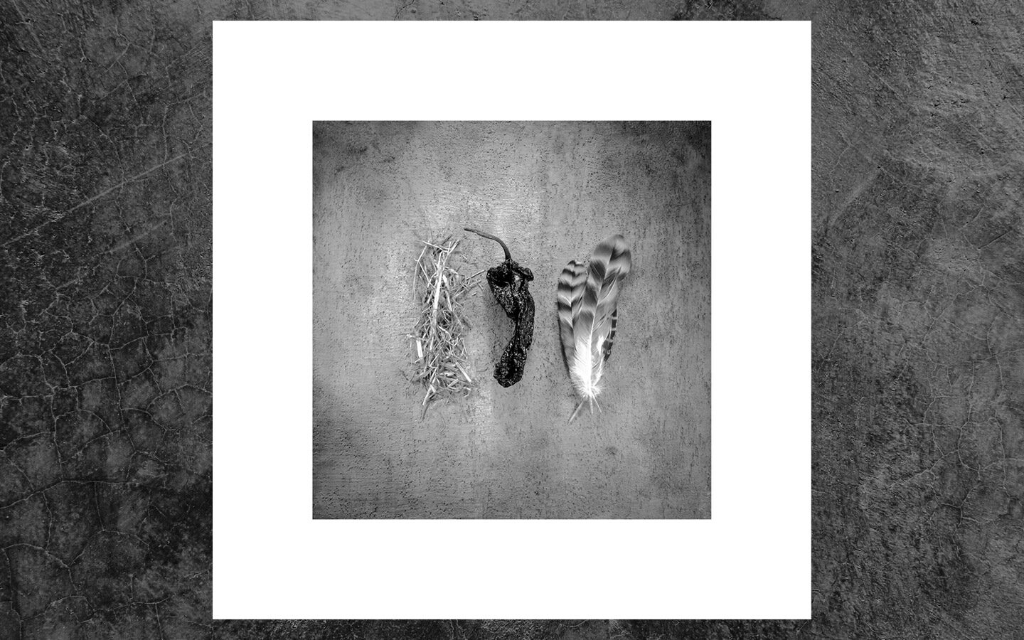 raw-magma-restaurant-paris-1a